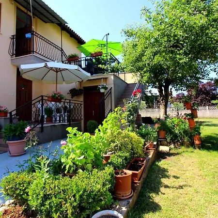 Apartment Apartment In Porec/Istrien 10031